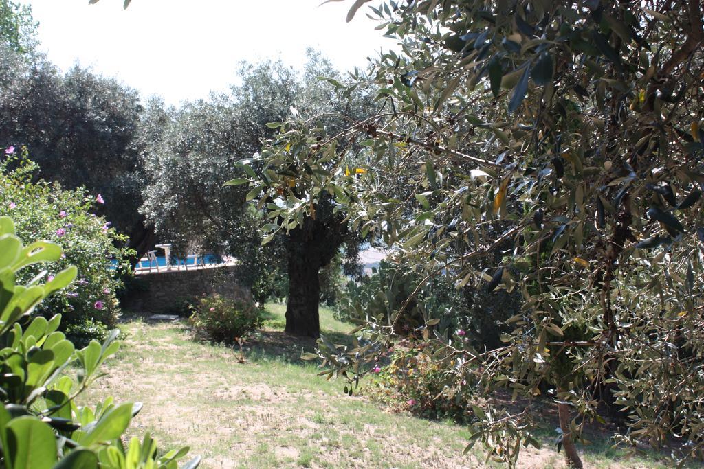 Azienda Agrituristica Biologica Il Querceto Santa Severina Exterior photo