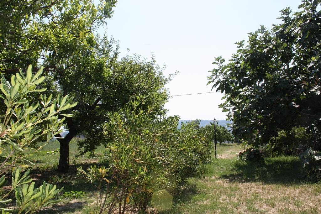 Azienda Agrituristica Biologica Il Querceto Santa Severina Exterior photo