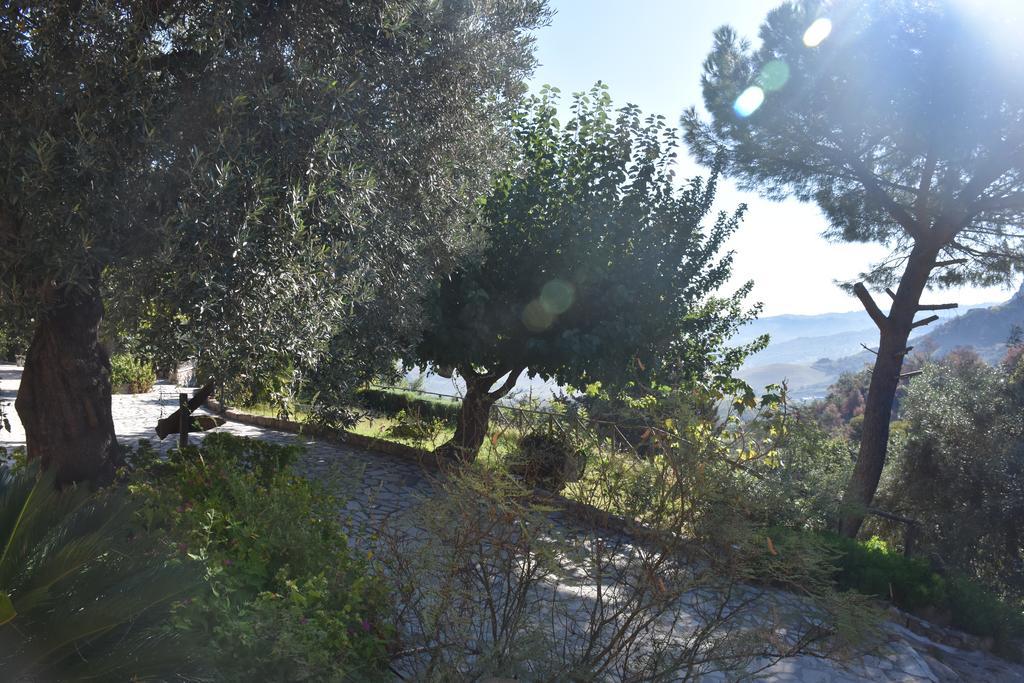 Azienda Agrituristica Biologica Il Querceto Santa Severina Exterior photo