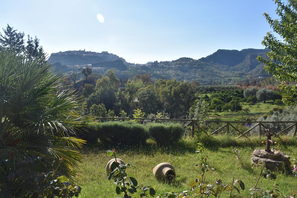 Azienda Agrituristica Biologica Il Querceto Santa Severina Exterior photo